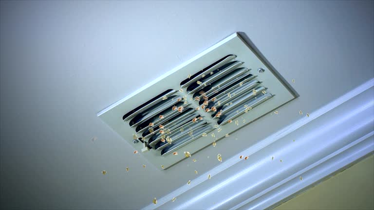 Best Ventilation Cleaning Services  in Man, IL